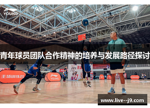 青年球员团队合作精神的培养与发展路径探讨