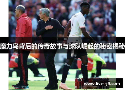 魔力鸟背后的传奇故事与球队崛起的秘密揭秘
