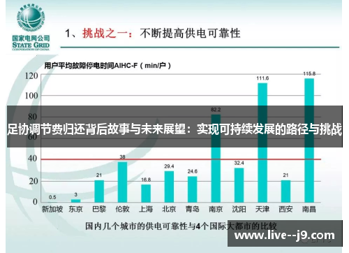 足协调节费归还背后故事与未来展望：实现可持续发展的路径与挑战