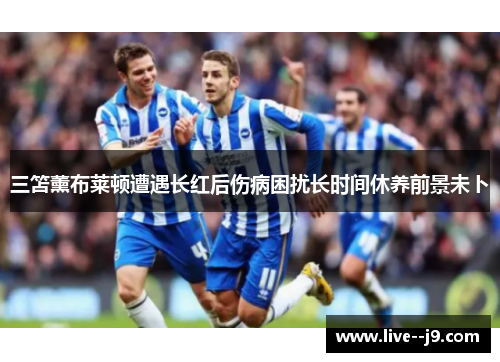 三笘薰布莱顿遭遇长红后伤病困扰长时间休养前景未卜