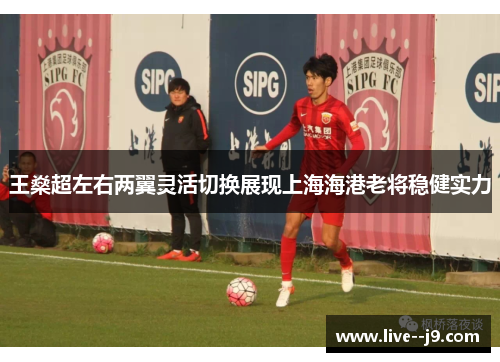 王燊超左右两翼灵活切换展现上海海港老将稳健实力 王燊超左右两翼灵活切换展现上海海港老将稳健实力